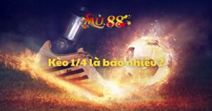 Kèo 1/4 là bao nhiêu ? Cách tính kèo chấp ¼ đơn giản chính xác nhất